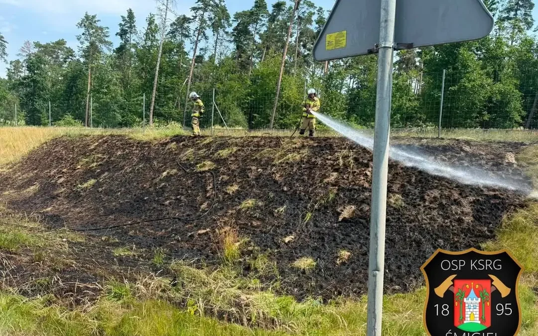 Pożar trawy na S5 w kierunku Poznania – interwencja strażaków