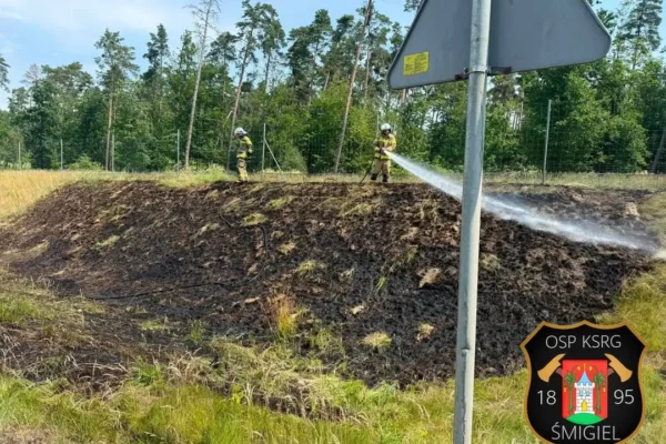 Pożar trawy na S5 w kierunku Poznania – interwencja strażaków