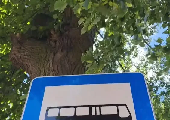 Przystankowe LOVE w Kościanie – animacje na przystankach autobusowych