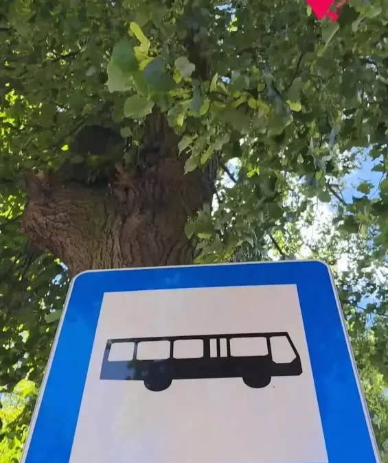 Przystankowe LOVE w Kościanie – animacje na przystankach autobusowych