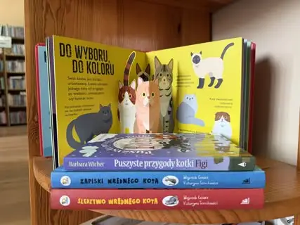 Nowości książkowe w Filii Bibliotecznej w Bieżyniu – co warto wypożyczyć na wakacje?