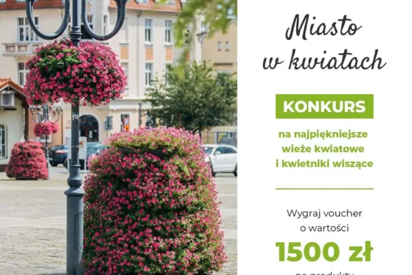 Śmigiel walczy o tytuł w konkursie „Miasto w kwiatach” – potrzebne głosy