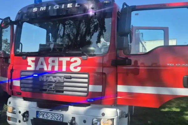 Usuwanie kokonu szerszeni w Poladowie – interwencja OSP Śmigiel