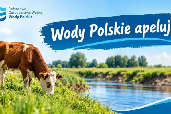 Wody Polskie ostrzegają: wypas zwierząt na wałach to zagrożenie i łamanie prawa