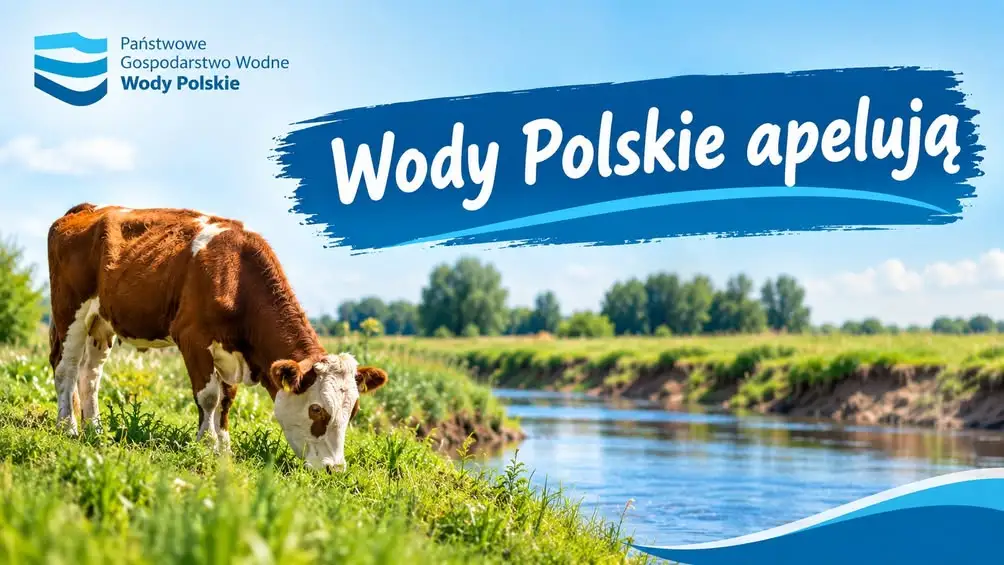 Wody Polskie ostrzegają: wypas zwierząt na wałach to zagrożenie i łamanie prawa